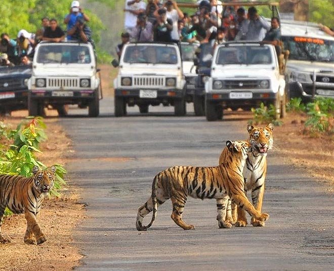 Jim Corbett and Nainital